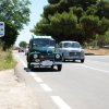 Montevago 2010 (475)